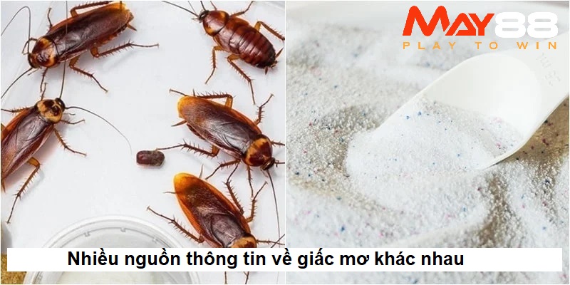 Đa dạng những giấc mơ chiêm tinh khác nhau